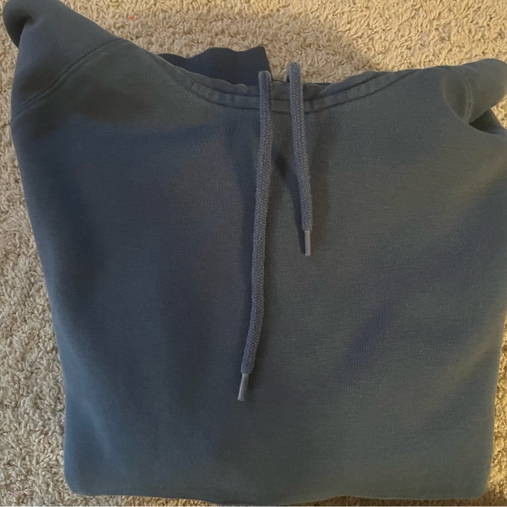 Carhartt Men’s Velvet Green Hooded Chase Sweatshirt, Size XL